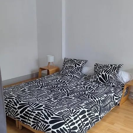 75m2 - 2min Centre Pieton & 10 Min De La Gare Apartment Mulhouse